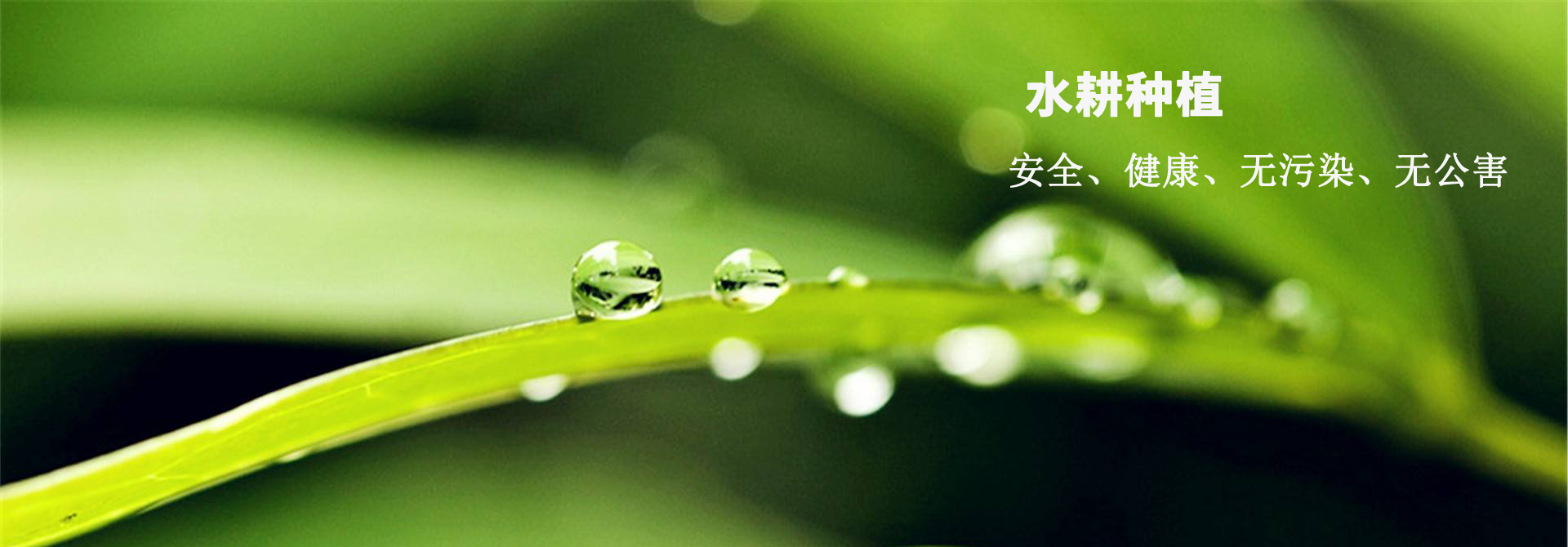 &#29699;&#36895;&#20307;&#32946;&#24179;&#21488;&#45;&#29699;&#36895;&#65288;&#20013;&#22269;&#65289;